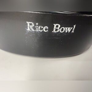 Rival Automatic Steamer and Rice Cooker Model #4450 BOWL PART ONLY REPLACEMENT